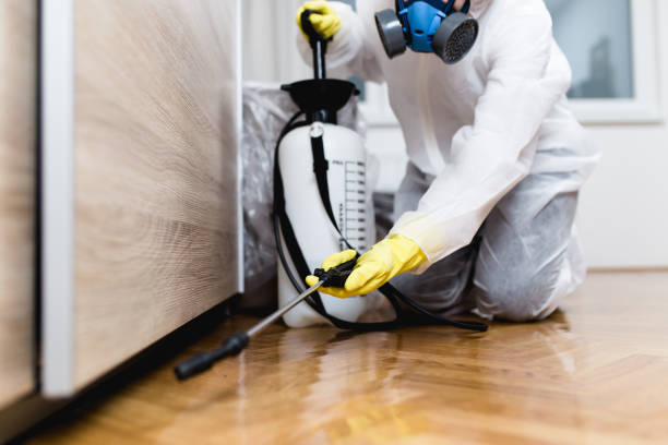 Best Pest Control Near Me  in Macom, IL