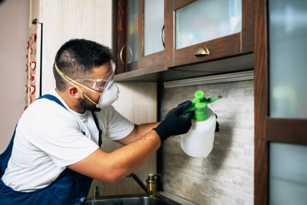 Best Mosquito Control Services  in Macom, IL