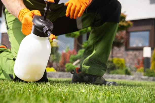 Best Pest Prevention Services  in Macom, IL