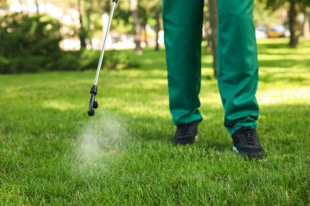 Professional Pest Control in Macom, IL