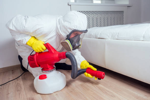 Best Ant Control Services  in Macom, IL