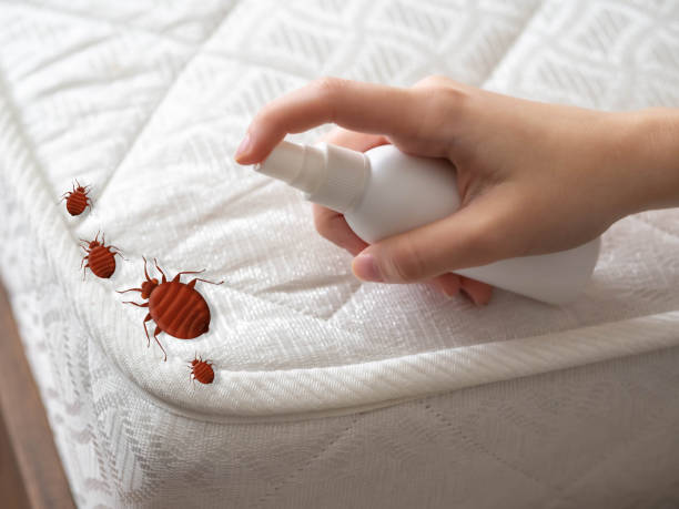 Best Pest Removal Services  in Macom, IL