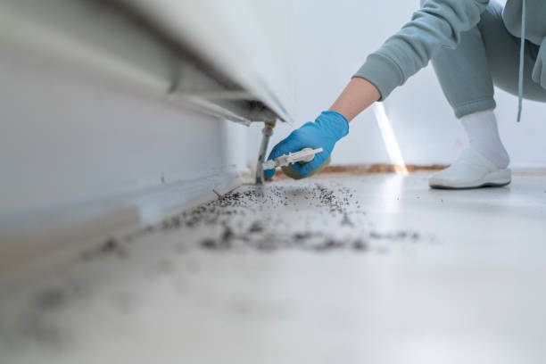 Best Residential Pest Control  in Macom, IL